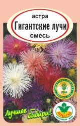 астра ГИГАНТСКИЕ ЛУЧИ СМЕСЬ / АГРО САД / НОВИНКА !!!